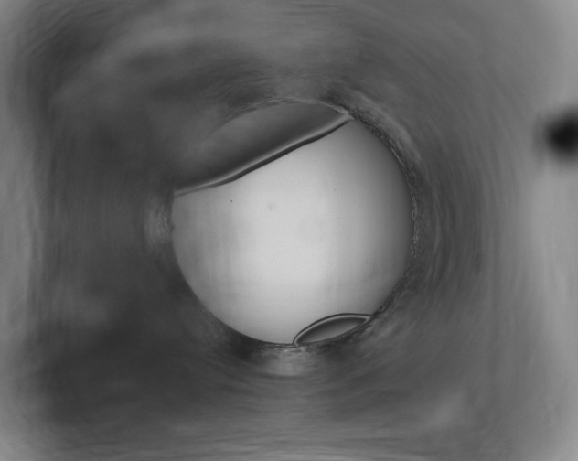 X0000102260384200807250843