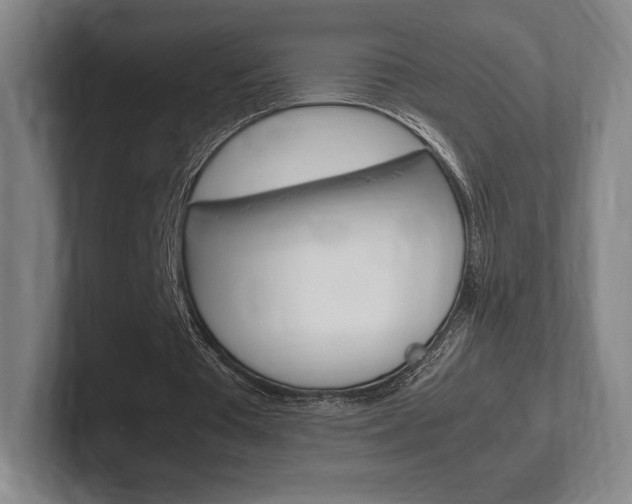 X0000102260385200807250842