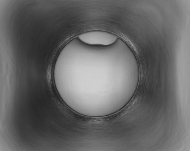 X0000102260386200807250842