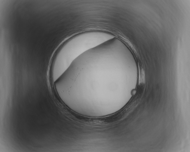X0000102260387200807250842