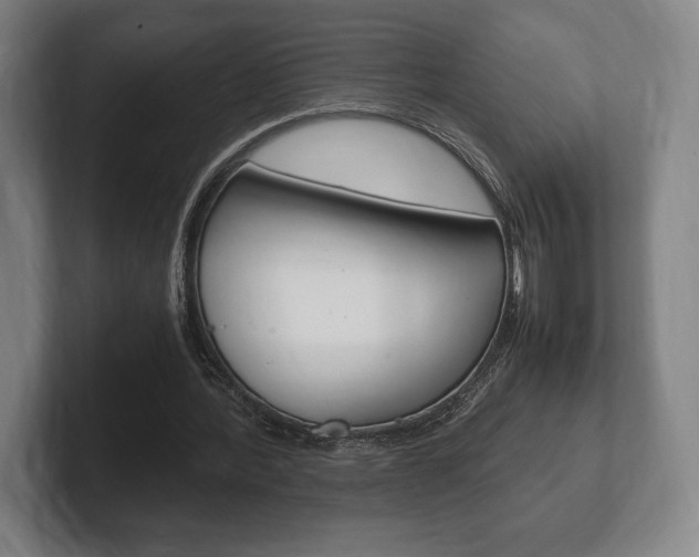 X0000102260388200807250842