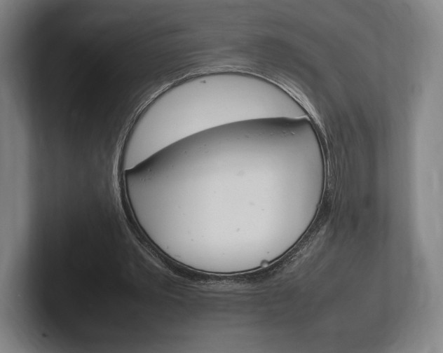 X0000102260389200807250842