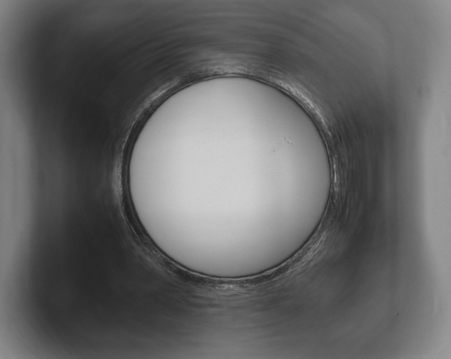 X0000102260390200807250842