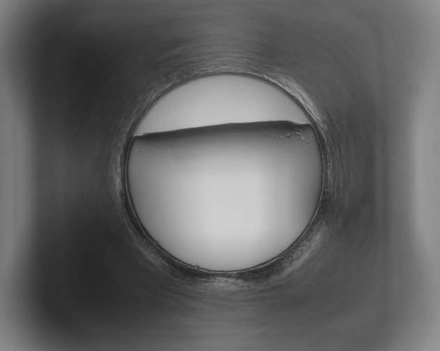 X0000102260393200807250842