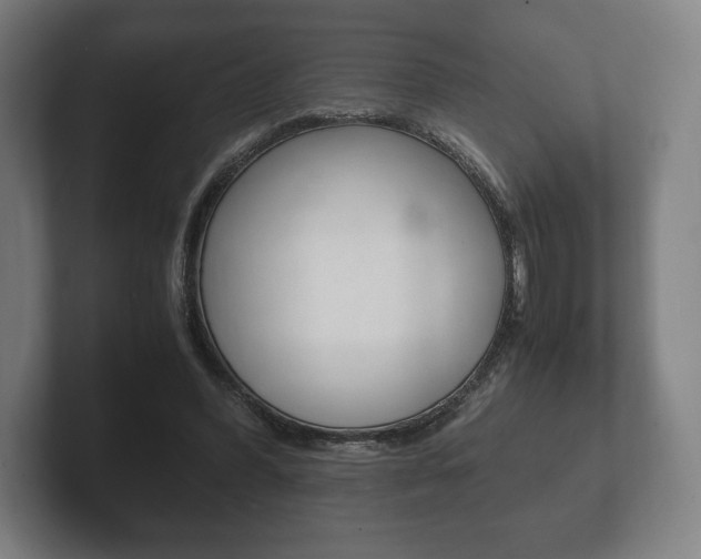 X0000102260396200807250842