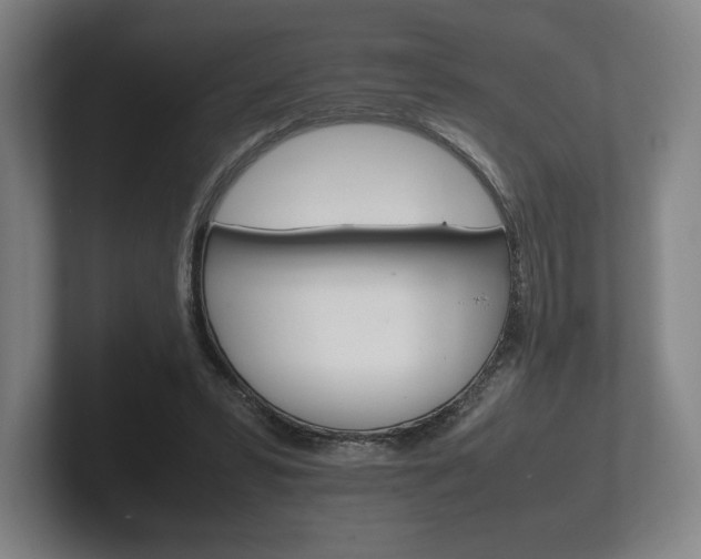 X0000102260399200807250842