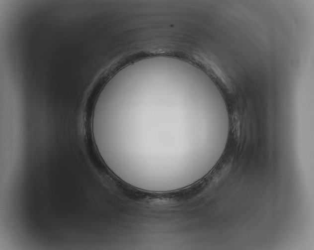 X0000102260400200807250842