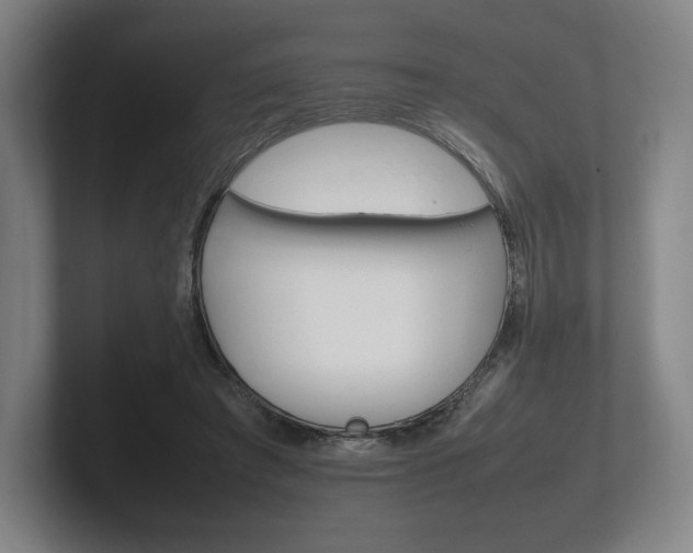 X0000102260401200807250842