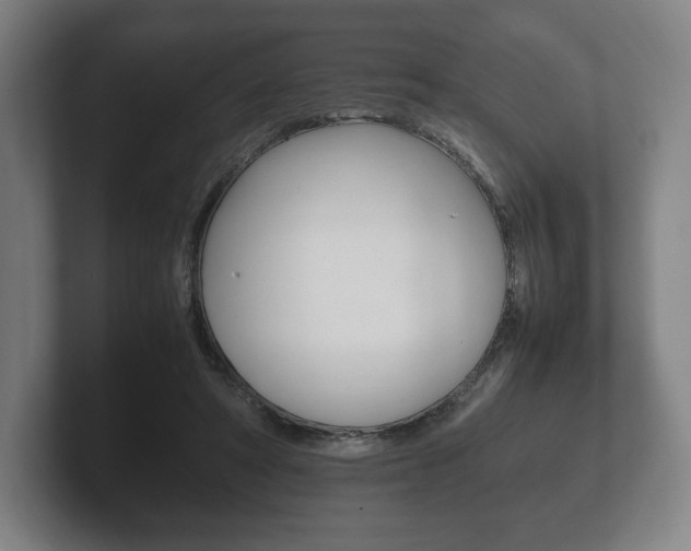 X0000102260402200807250842