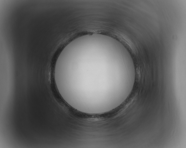 X0000102260404200807250842