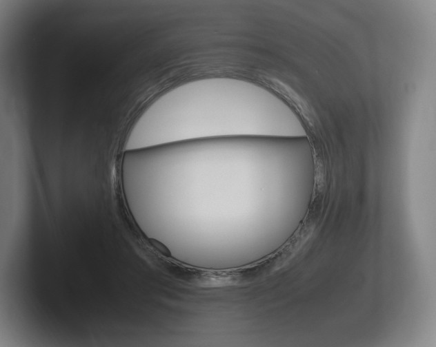 X0000102260405200807250842