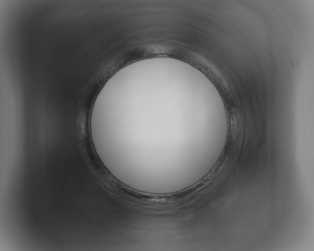 X0000102260406200807250842