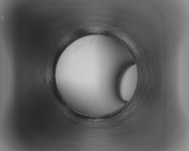 X0000102260407200807250842