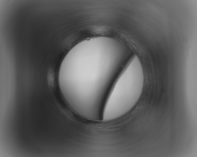 X0000102260408200807250842