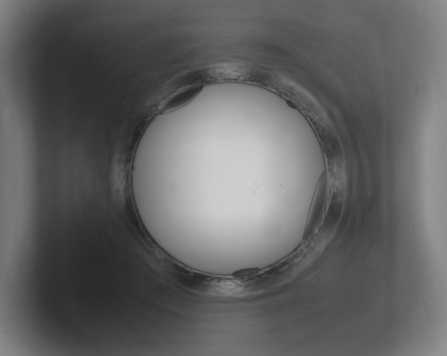 X0000102260409200807250842