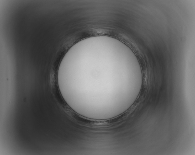 X0000102260410200807250842