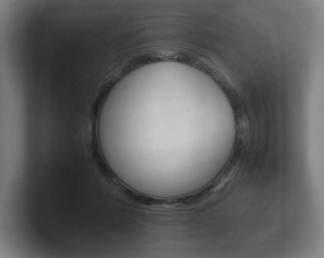 X0000102260412200807250842