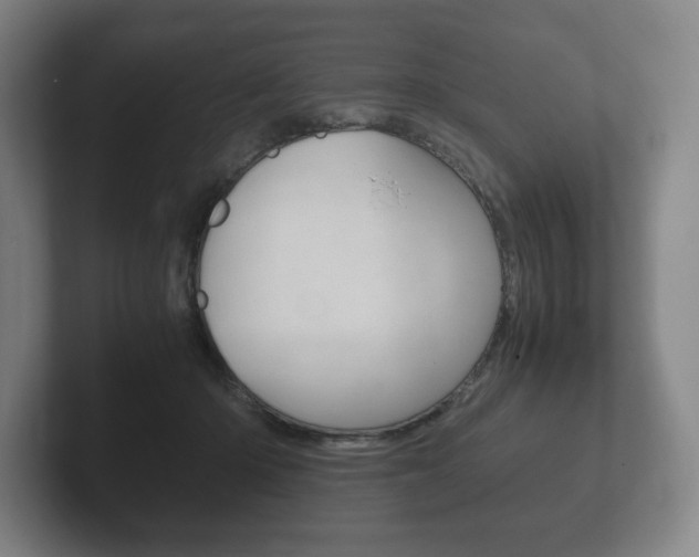 X0000102260414200807250842