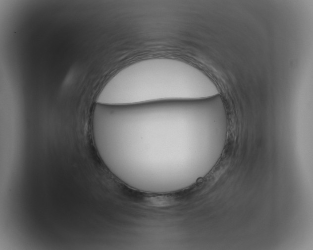 X0000102260417200807250842