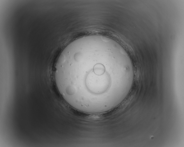 X0000102260418200807250842