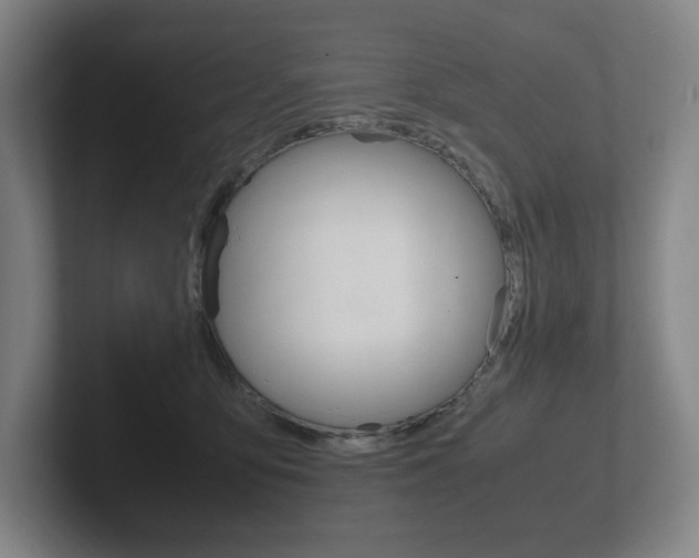 X0000102260419200807250842