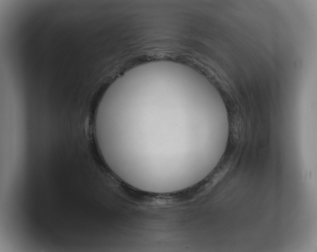 X0000102260420200807250842