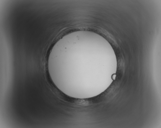 X0000102260421200807250841