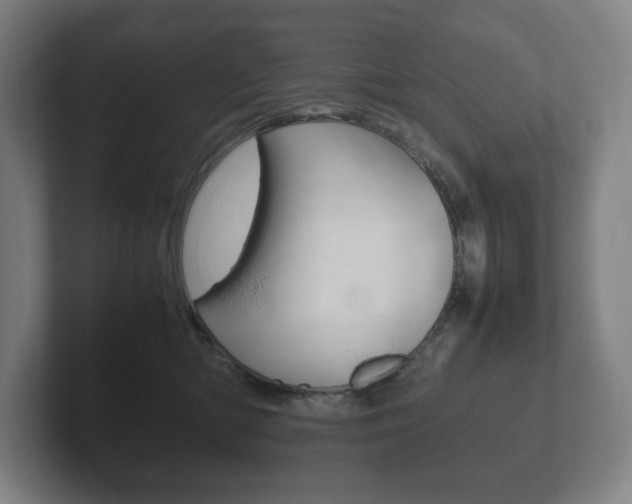 X0000102260422200807250841