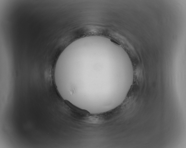 X0000102260423200807250841
