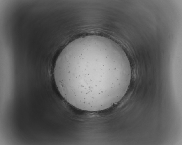 X0000102260424200807250841
