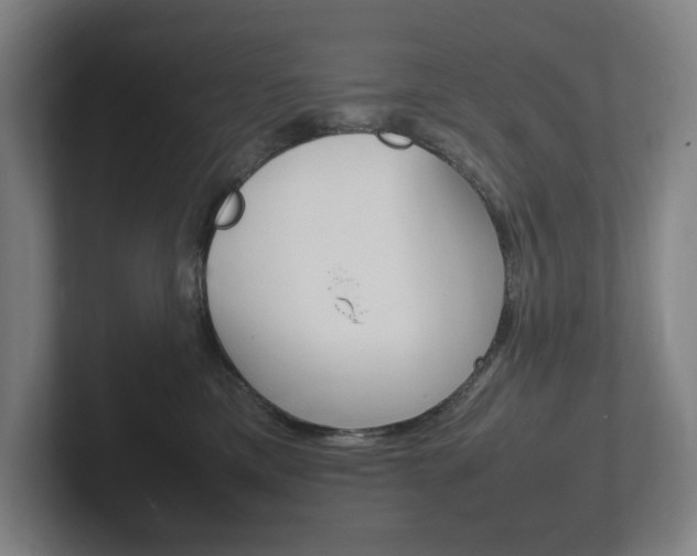X0000102260425200807250841