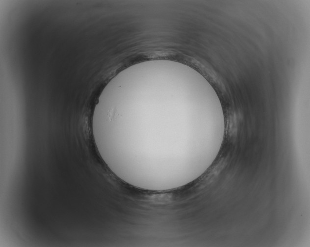 X0000102260426200807250841