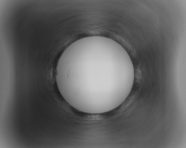 X0000102260428200807250841