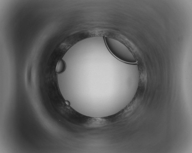 X0000102260429200807250841