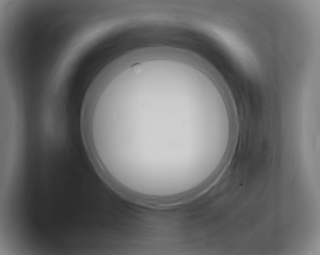 X0000102260431200807250841