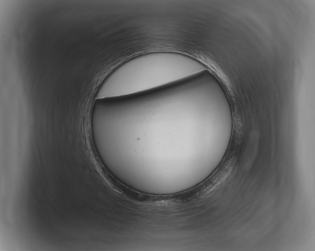 X0000102260433200807250841