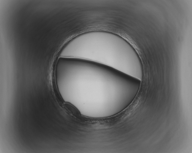 X0000102260434200807250841