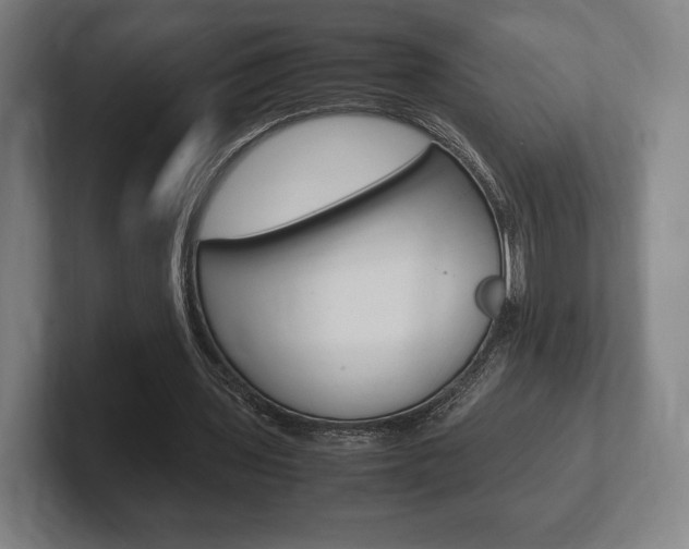 X0000102260435200807250841