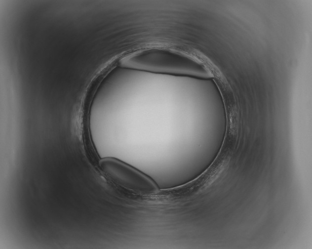 X0000102260436200807250841