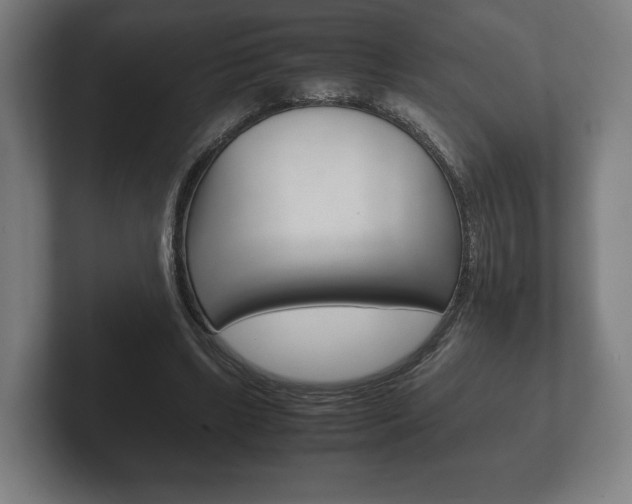 X0000102260443200807250841