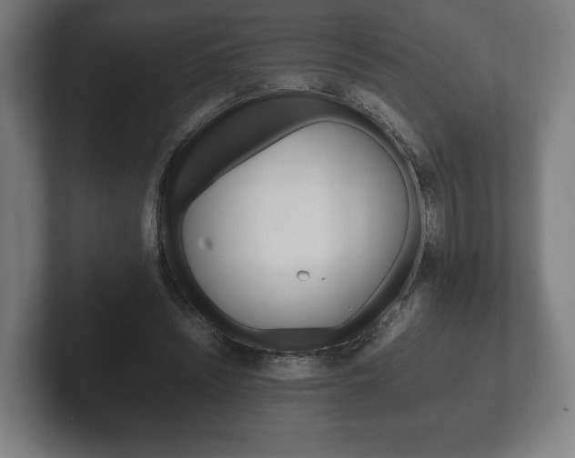 X0000102260444200807250841