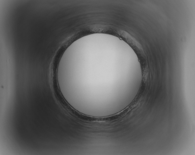 X0000102260448200807250841