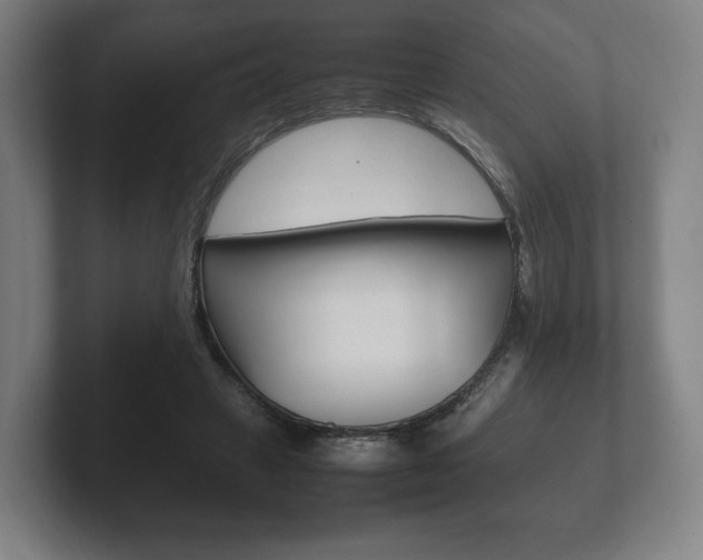 X0000102260449200807250841