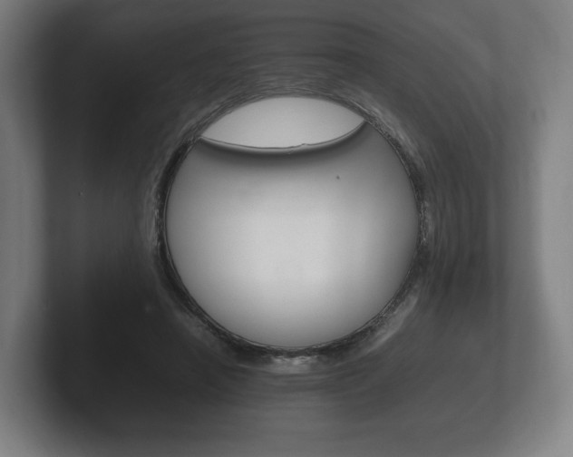 X0000102260450200807250841