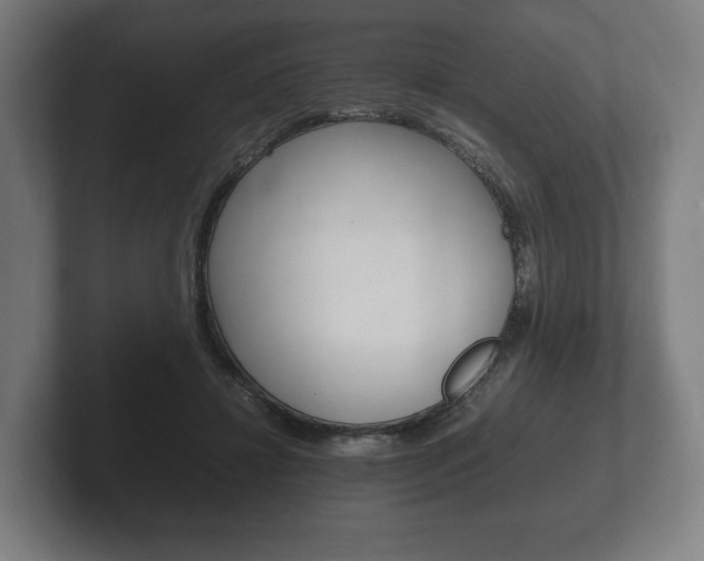 X0000102260452200807250841