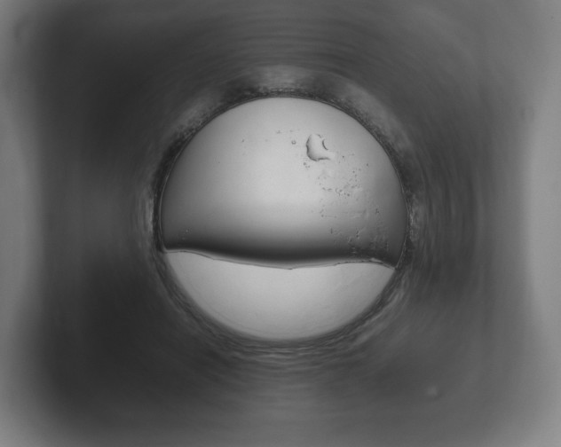 X0000102260454200807250841