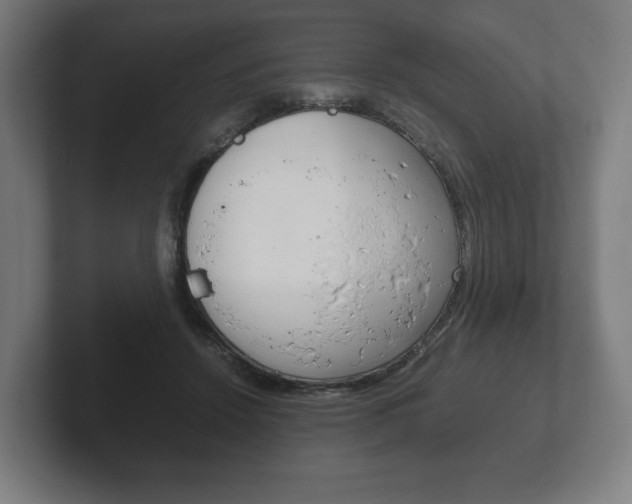 X0000102260456200807250841