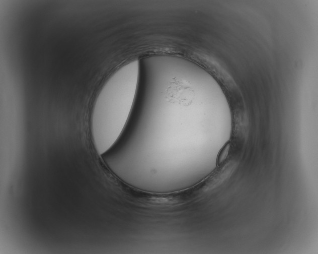 X0000102260457200807250841