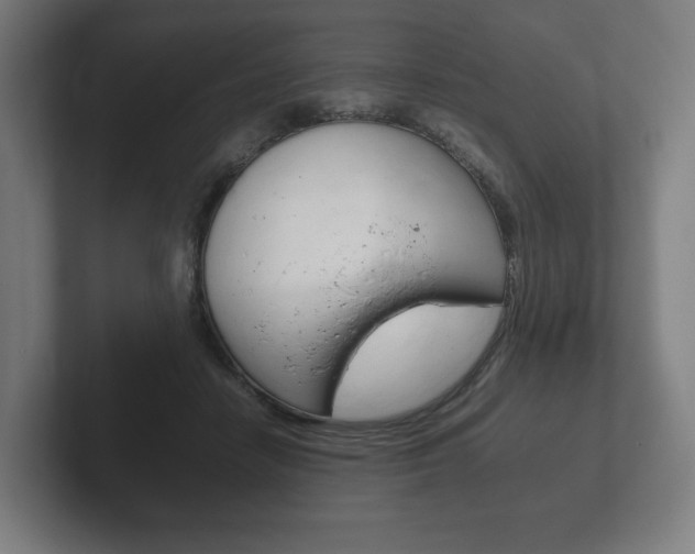 X0000102260458200807250841