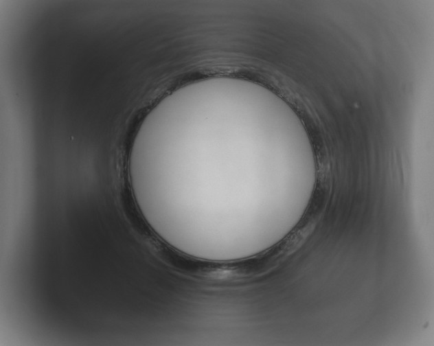 X0000102260460200807250841